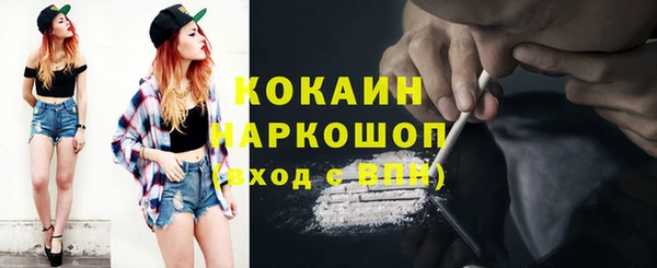 прущий лед Бородино