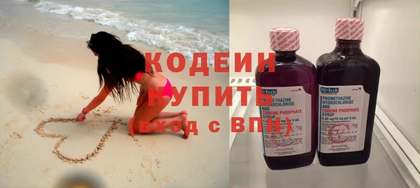 прущий лед Бородино