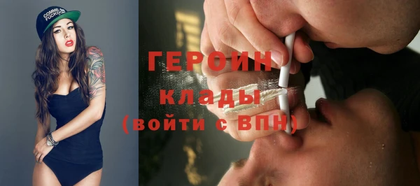прущий лед Бородино