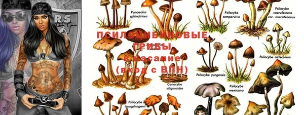 прущий лед Бородино
