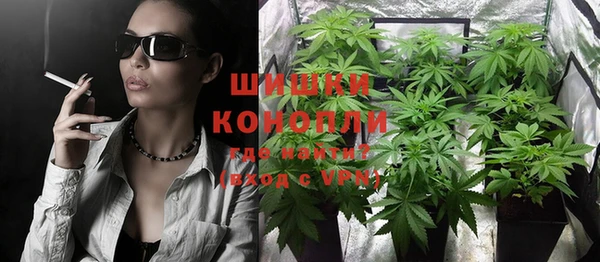 прущий лед Бородино