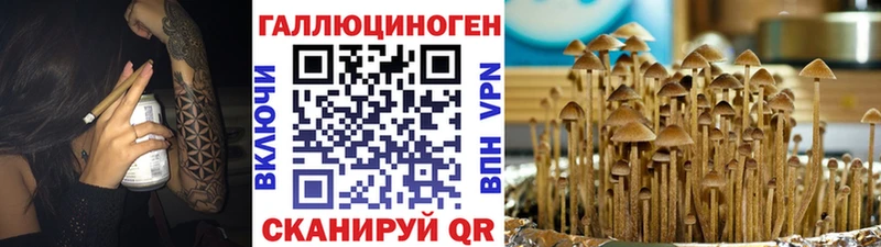 Галлюциногенные грибы GOLDEN TEACHER  купить наркотик  Великий Новгород 