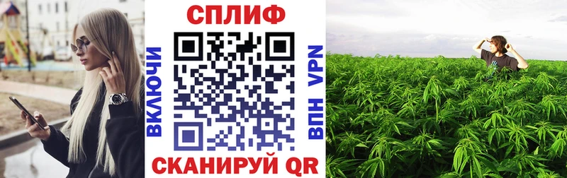 Канабис MAZAR Великий Новгород